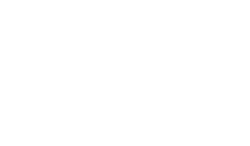 Singapore Airline Web Development Client